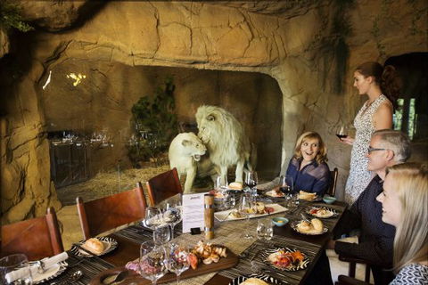 Jamala Wildlife Lodge - Accommodation Sunshine Coast 6