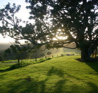 Kilfeacle Farm Cottage - Accommodation Sunshine Coast
