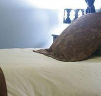 Mount Victoria Manor - Accommodation Sunshine Coast