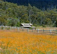 Pender Lea Alpine Guest Accommodation - Accommodation Sunshine Coast
