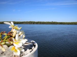 The Fishing Haven Holiday Park - Accommodation Sunshine Coast 0