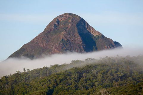 Blackwattle Farm Bed And Breakfast And Farm Stay - Accommodation Sunshine Coast 9