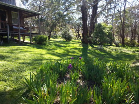 Mount Cole Cottages - Accommodation Sunshine Coast 8