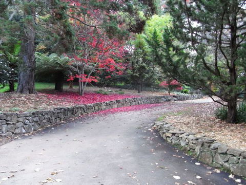 The Jungle Lodge, Blue Mountains Botanic Gardens - Accommodation Sunshine Coast 5