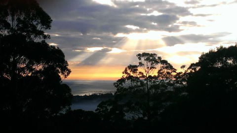 The Jungle Lodge, Blue Mountains Botanic Gardens - Accommodation Sunshine Coast 8