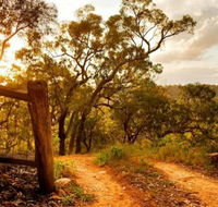 Kurrajong Trails and Cottages - Accommodation Sunshine Coast
