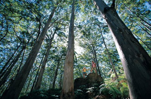 Point Road Camp At Leeuwin-Naturaliste National Park - Accommodation Sunshine Coast 1