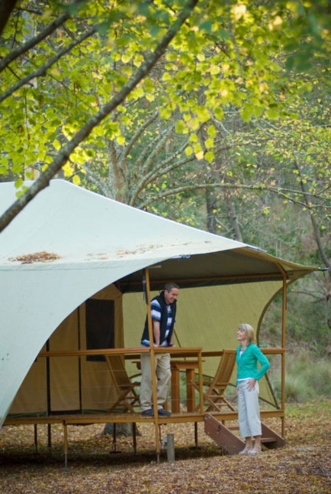 Wilderness Retreats Buchan Caves Reserve - Accommodation Sunshine Coast 4