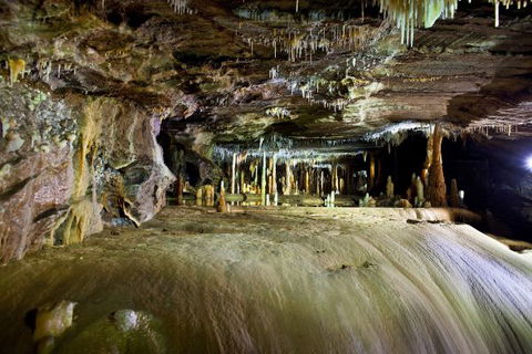 Wilderness Retreats Buchan Caves Reserve - Accommodation Sunshine Coast 7