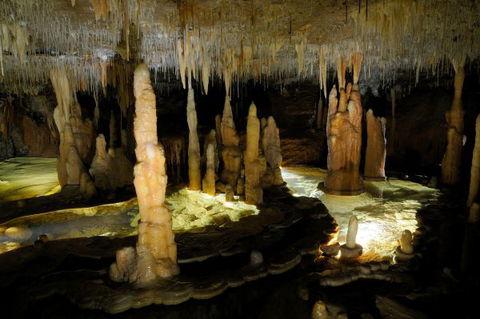 Wilderness Retreats Buchan Caves Reserve - Accommodation Sunshine Coast 8