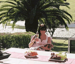 Sunny Hill Retreat Accommodation & Day Spa - Accommodation Sunshine Coast 4