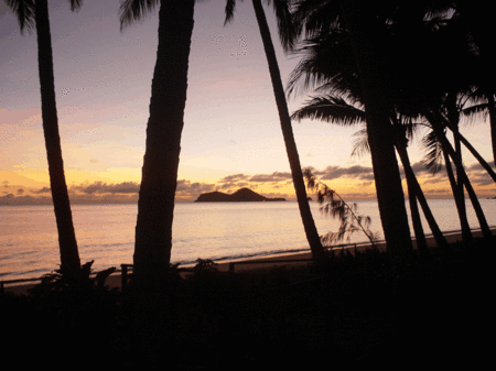 Ellis Beach Oceanfront Bungalows - Accommodation Sunshine Coast 1