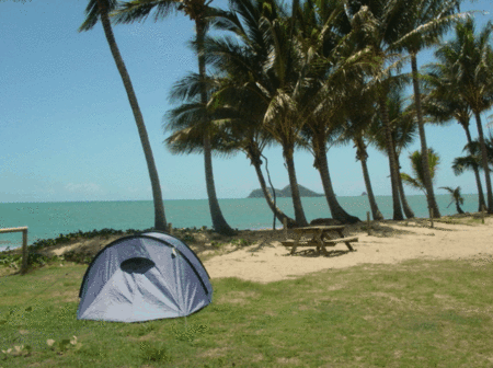 Ellis Beach Oceanfront Bungalows - Accommodation Sunshine Coast 2