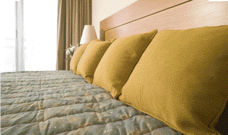 Breakfree Capital Tower - Accommodation Sunshine Coast 2