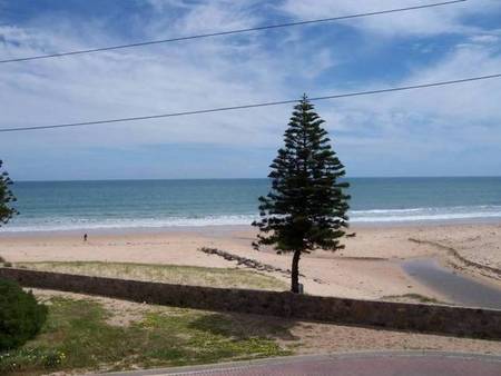 Christie's Seahorse - Accommodation Sunshine Coast 1