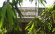 Keith Motor Inn - thumb 1