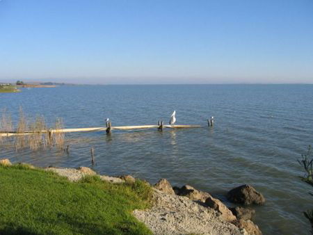 Lake Albert Caravan Park - Accommodation Sunshine Coast 5