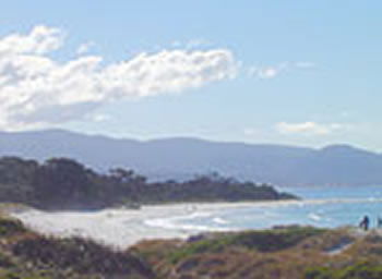 Bicheno On The Beach - Accommodation Sunshine Coast 5