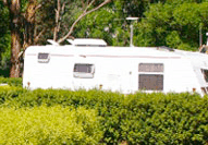 Barilla Holiday Park - Accommodation Sunshine Coast 3