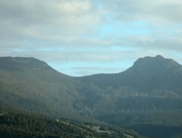 Crabtree House Heritage Suites - Accommodation Sunshine Coast 4