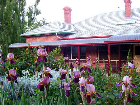 Donalea Bed & Breakfast - Accommodation Sunshine Coast 0