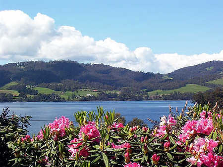 Donalea Bed & Breakfast - Accommodation Sunshine Coast 1