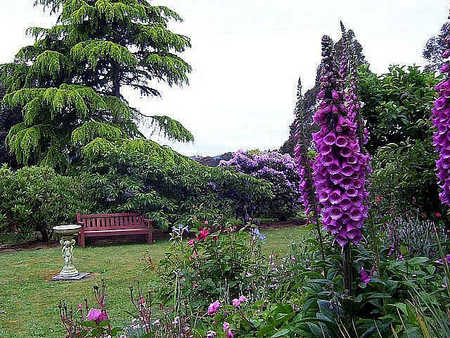 Donalea Bed & Breakfast - Accommodation Sunshine Coast 4