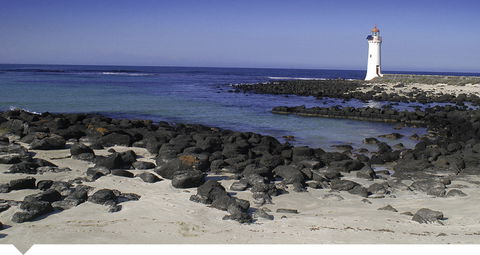 Oscars Waterfront Boutique Hotel - Accommodation Sunshine Coast 3