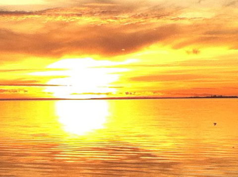 Dalton On The Lake - Accommodation Sunshine Coast 3