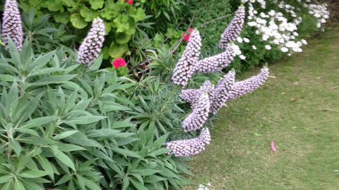 Padthaway Caravan Park - Accommodation Sunshine Coast 8