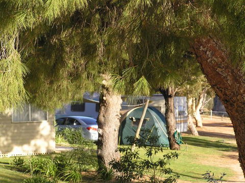 Barmera North Lake Caravan Park - Accommodation Sunshine Coast 0