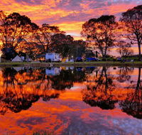 Coonawarra Bush Holiday Park - Accommodation Sunshine Coast