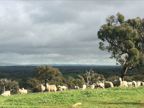 Heathcote Views Bed & Breakfast - Accommodation Sunshine Coast 5