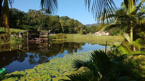 Hosanna Farmstay - Accommodation Sunshine Coast 0