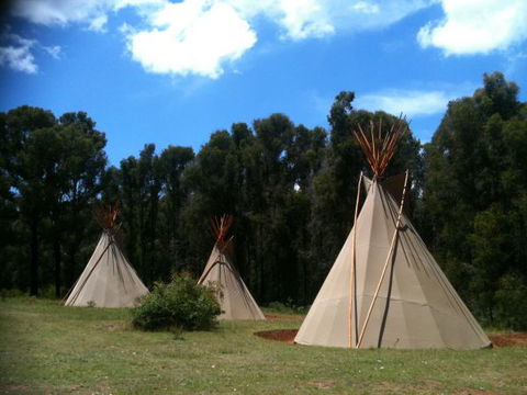 Kinglake Forest Adventures Camp - Accommodation Sunshine Coast 0