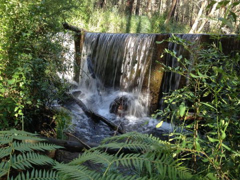 Kinglake Forest Adventures Camp - Accommodation Sunshine Coast 1