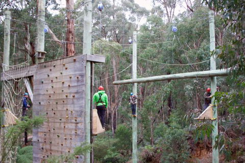 Kinglake Forest Adventures Camp - Accommodation Sunshine Coast 2