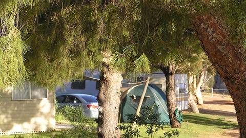 Barmera North Lake Caravan Park - Accommodation Sunshine Coast 4