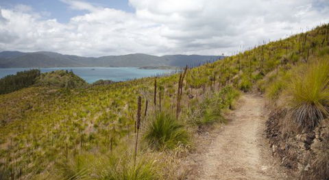 Molle Island National Park (Whitsundays National Park) Camping Ground - Accommodation Sunshine Coast 2