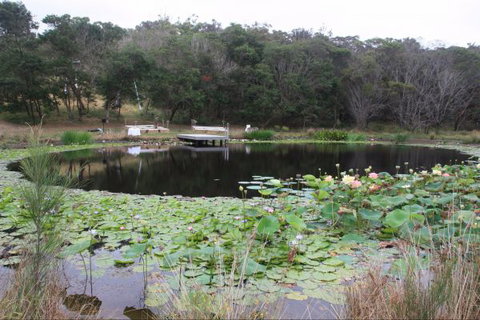 Murrah Luxury Holiday Accommodation - Accommodation Sunshine Coast 8