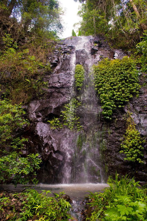 Nimbin Waterfall Retreat - Accommodation Sunshine Coast 0