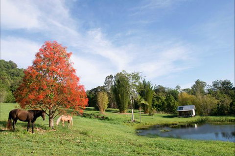 Nimbin Waterfall Retreat - Accommodation Sunshine Coast 1