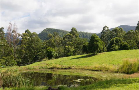 Nimbin Waterfall Retreat - Accommodation Sunshine Coast 3