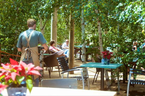 Oakdene Vineyards Guesthouse - Accommodation Sunshine Coast 5
