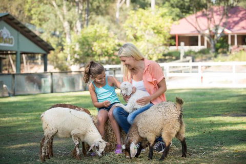 Paradise Country Farmstay - Accommodation Sunshine Coast 6