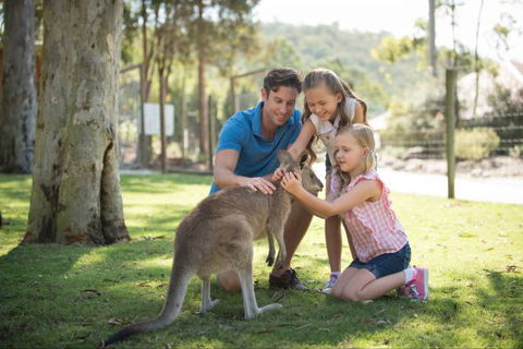 Paradise Country Farmstay - Accommodation Sunshine Coast 7