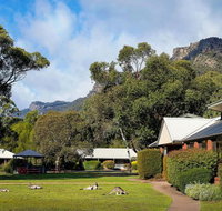 Pinnacle Holiday Lodge - Accommodation Sunshine Coast