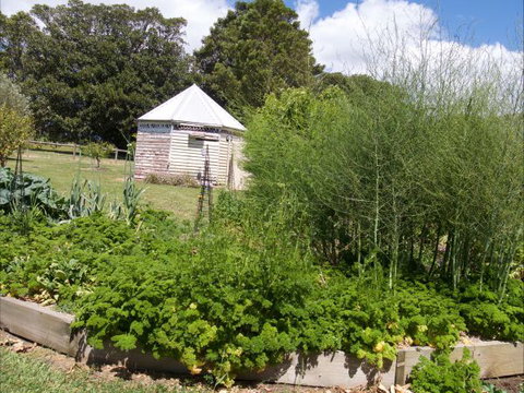 The Old Drik Drik Schoolhouse Retreat - Accommodation Sunshine Coast 6