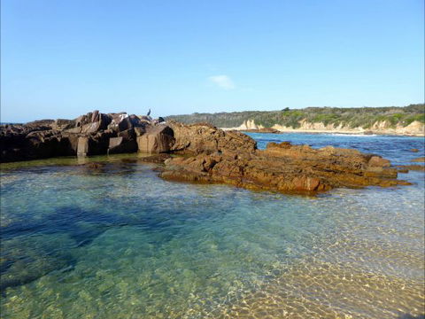 Tilba Coastal Retreat - Accommodation Sunshine Coast 6