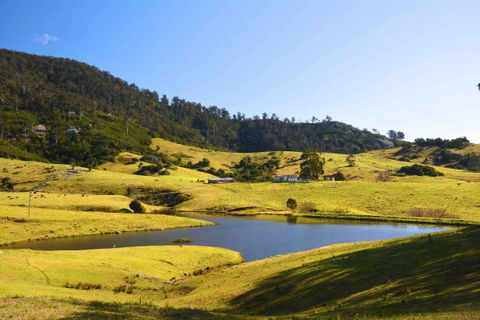 Tilba Coastal Retreat - Accommodation Sunshine Coast 7
